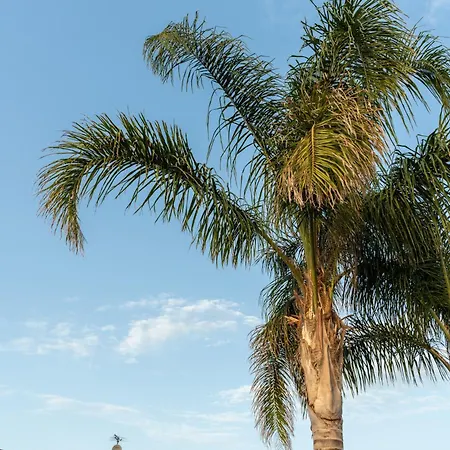 بيت للعطل Deep Blue Sea